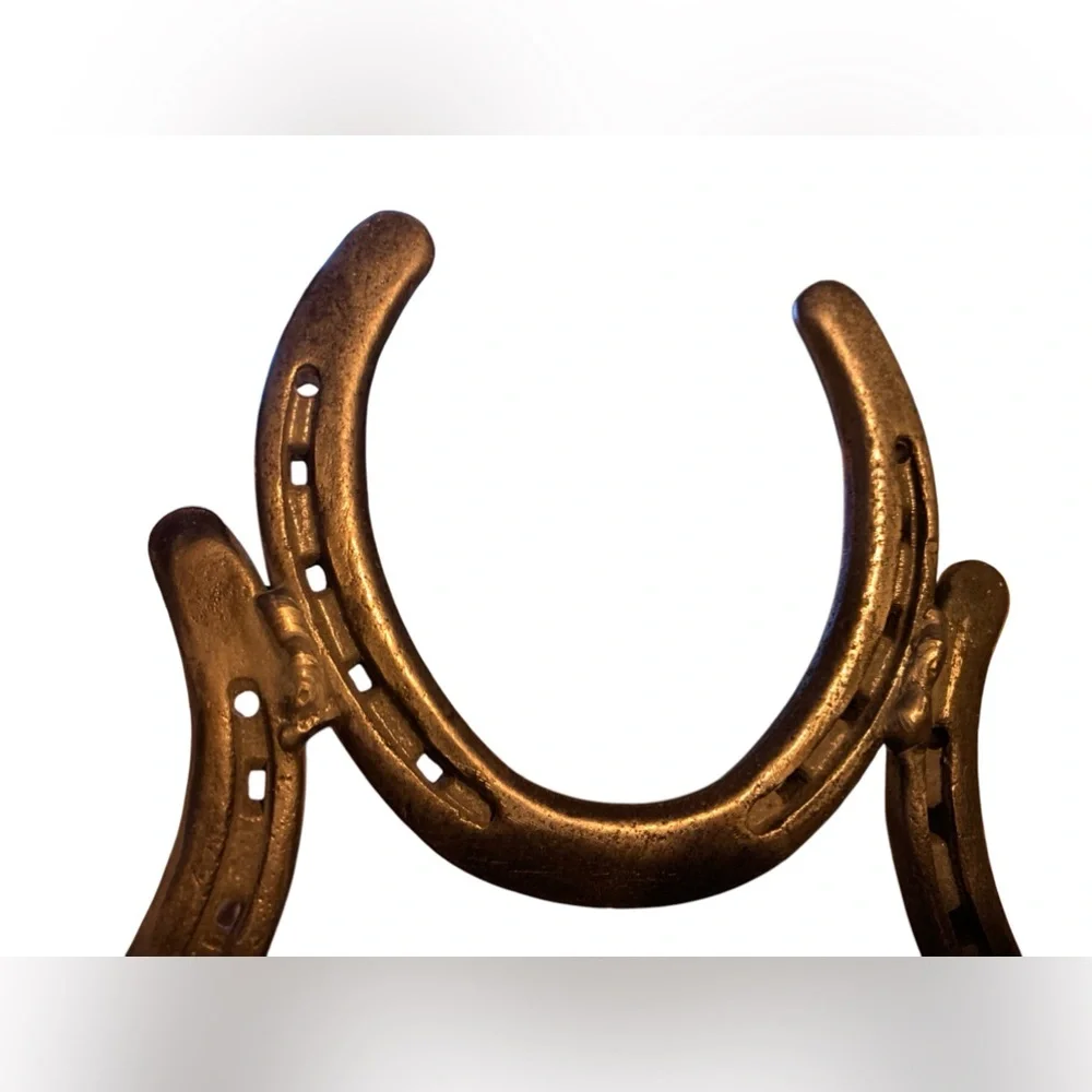 Iron Metal Horseshoe Wall Rack 2 Hook Coat Hat Storage Western Cowboy FIRM $